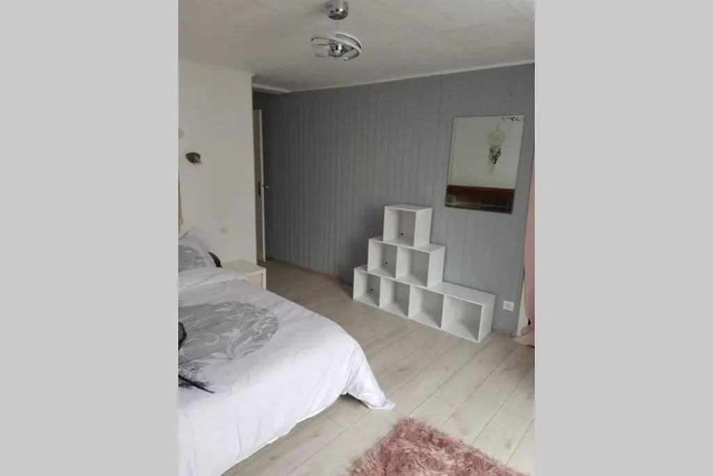 Apartment Joli Appartement A Murat Proche Du Lioran Cantal France